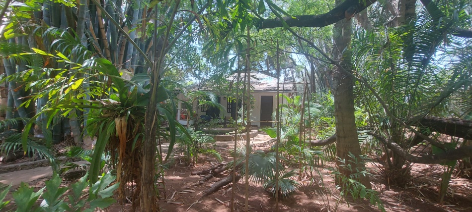 unser Bungalow im Boko Boko