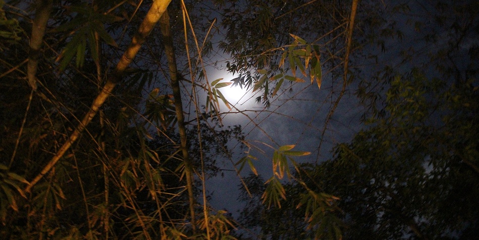 Vollmond