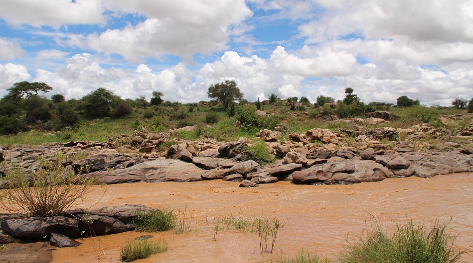 Ol Gaboli Camp - Laikipia