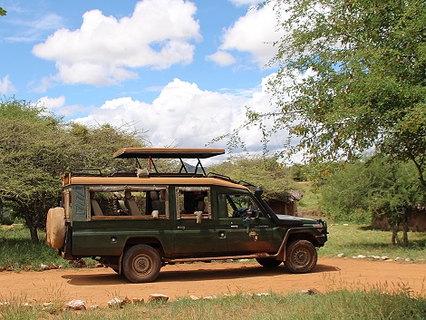 Ol Gaboli Camp - Laikipia