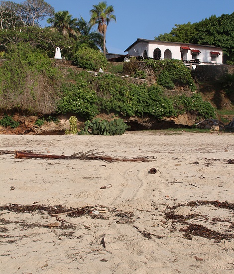 Meeresschlidkr&ouml;tenspuren im Sand am Strand