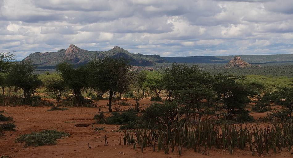 Laikipa Kenya Hochland
