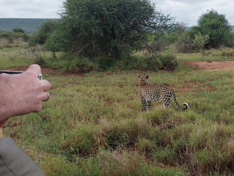 Auf Leoparden Pirsch - Mpala