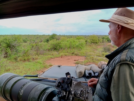Auf Leoparden Pirsch - Mpala