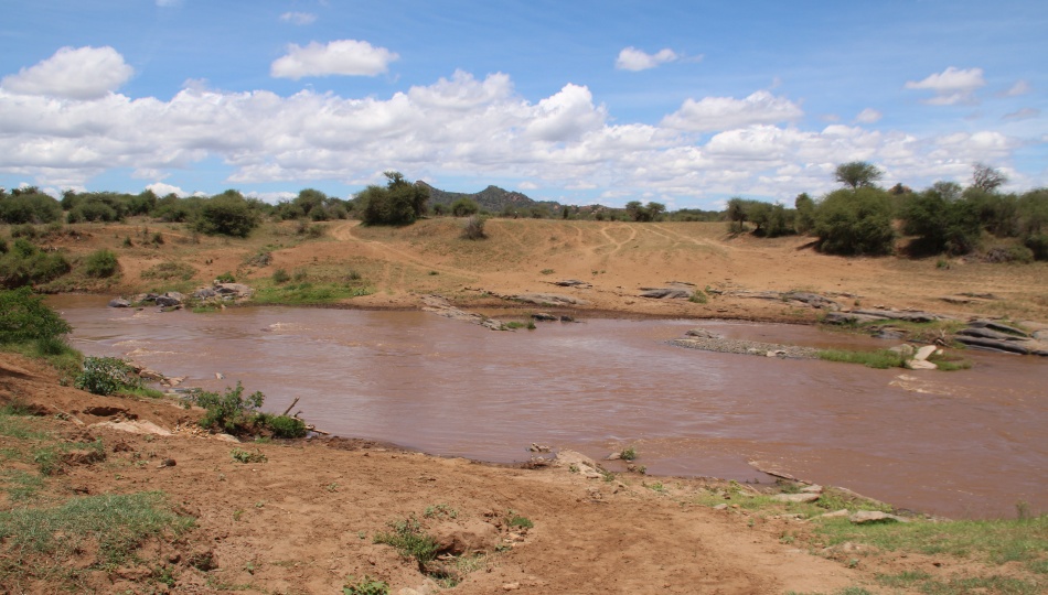 Ewasi Ngiro