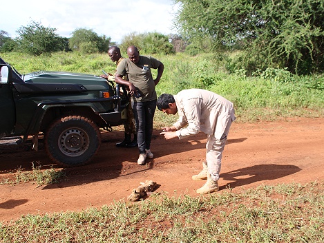 Abu and the CWC Ranger Team