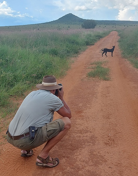 Black Serval Kivuli ganz entspannt in unserer N&auml;he
