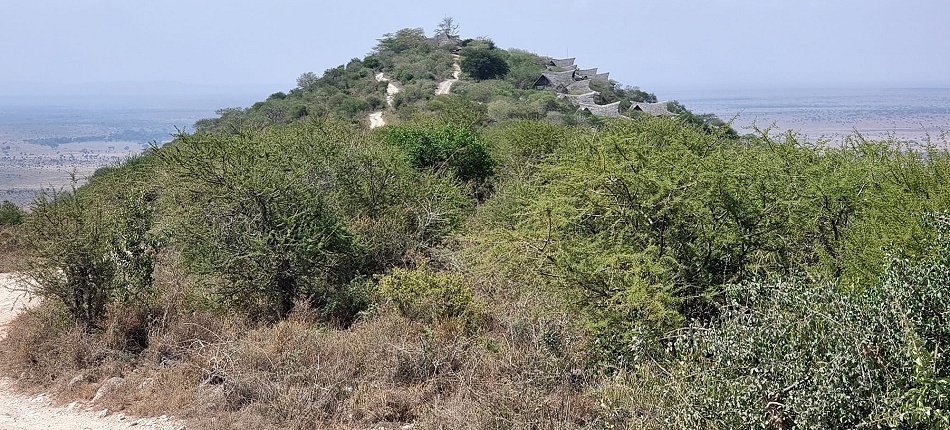 Aussicht in die Savanne des Lumo Conservancy von der Soroi Lions Bluff Lodge aus