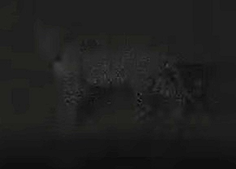Hide Camera - Leopard an der Wasserstelle