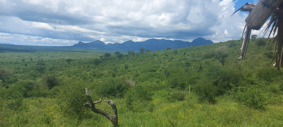 Soroi Leopards Lair Cottages - Self Cattering - Lumo Conservancy - Tsavo West