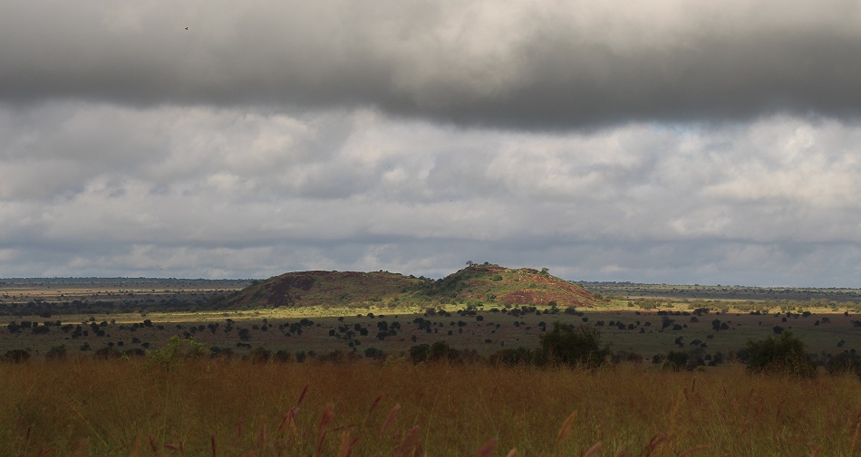 Lions Rock in der Regenzeit - Lumo Conservancy