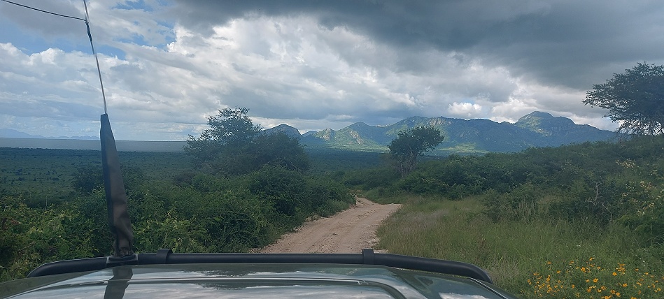 auf Pirschfahrt im Lumo Conservancy