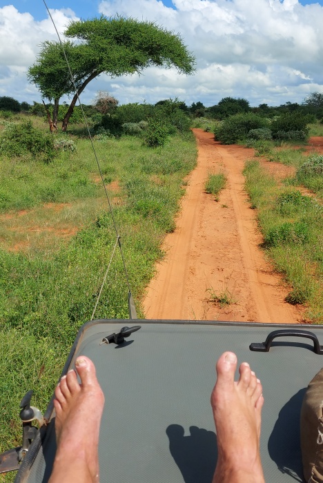 Auf Pirschfahrt im Lumo Conservancy