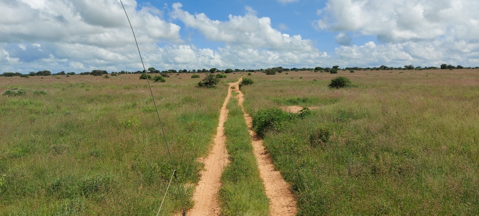 Auf Pirschfahrt im Lumo Conservancy