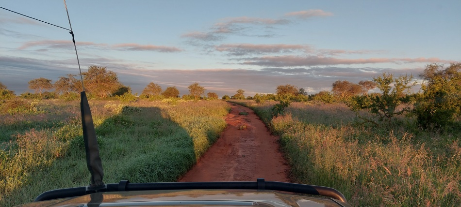 Fr&uuml;hmorgens auf Pirschfahrt im Lumo Conservancy