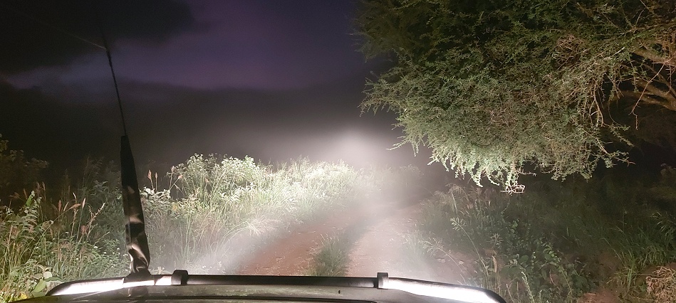 Fr&uuml;hpirsch im Lumo Conservancy