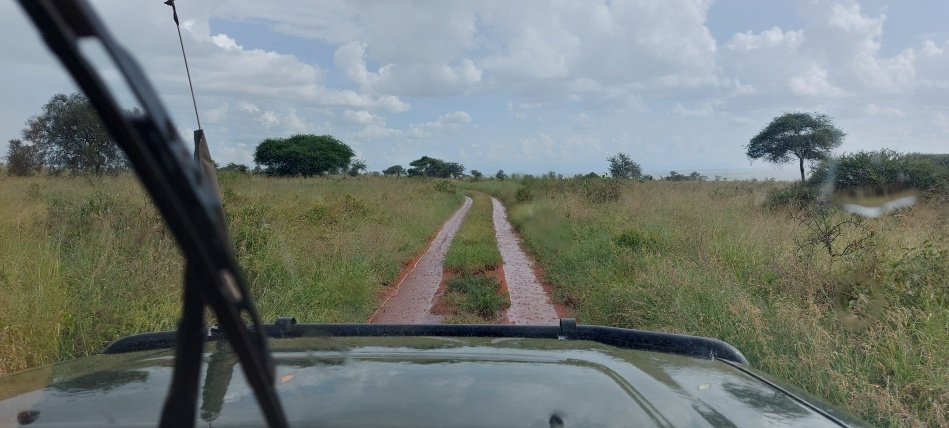 Regenzeit im Lumo Conservancy