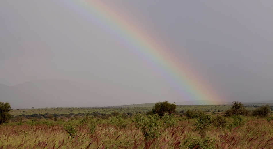 Regenbogen im Lumo Reservat