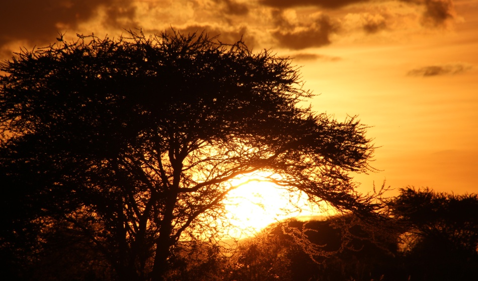 Sundowner in der Wildnis des Lumo Reservates