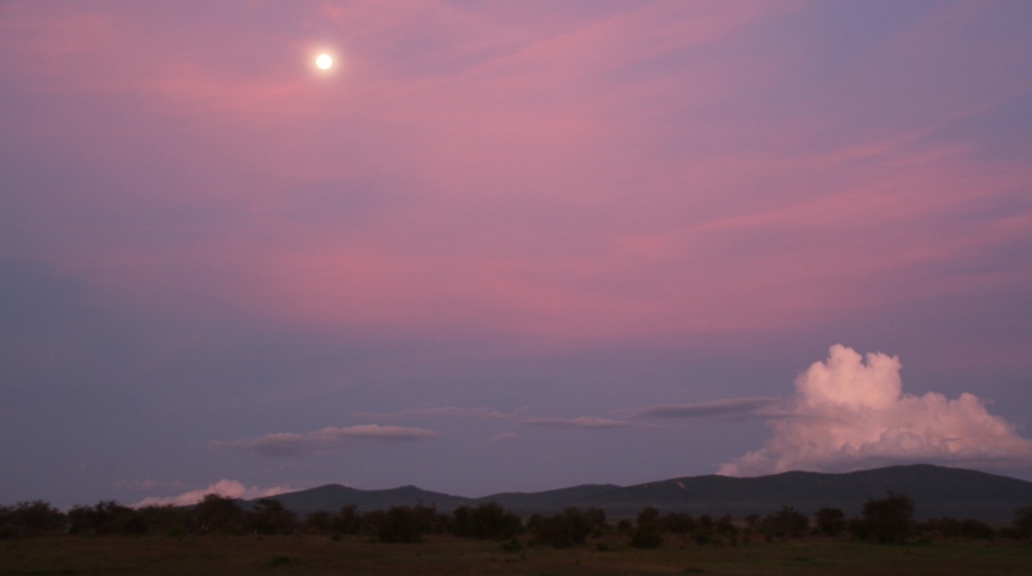 Vollmondnacht im Lumo Conservancy