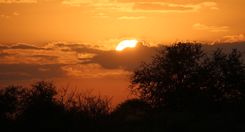 Sundowner am Lions Rock