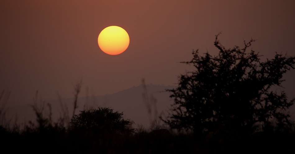 Sonnenaufgang im Lumo Conservancy
