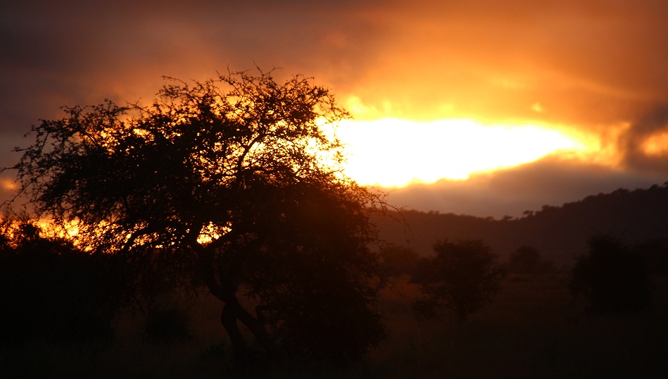 Sonnenaufgang im Lumo Conservancy