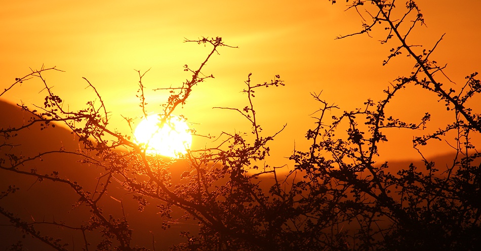 Sonnenaufgang im Lumo Conservancy
