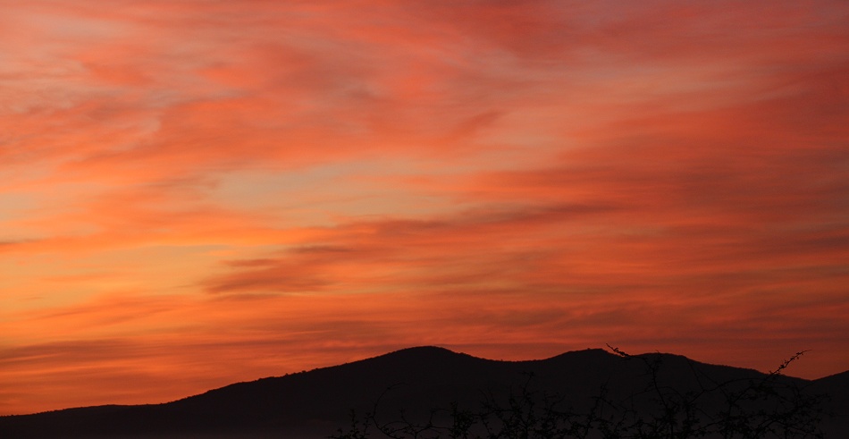 Sonnenaufgang im Lumo Conservancy