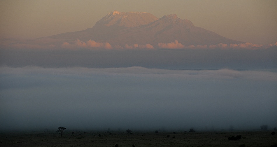 Kilimanjaro &uuml;ber dem Nebel des Lumo Reservates