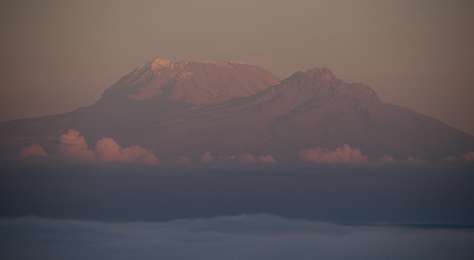 Kilimanjaro &uuml;ber dem Nebel des Lumo Reservates