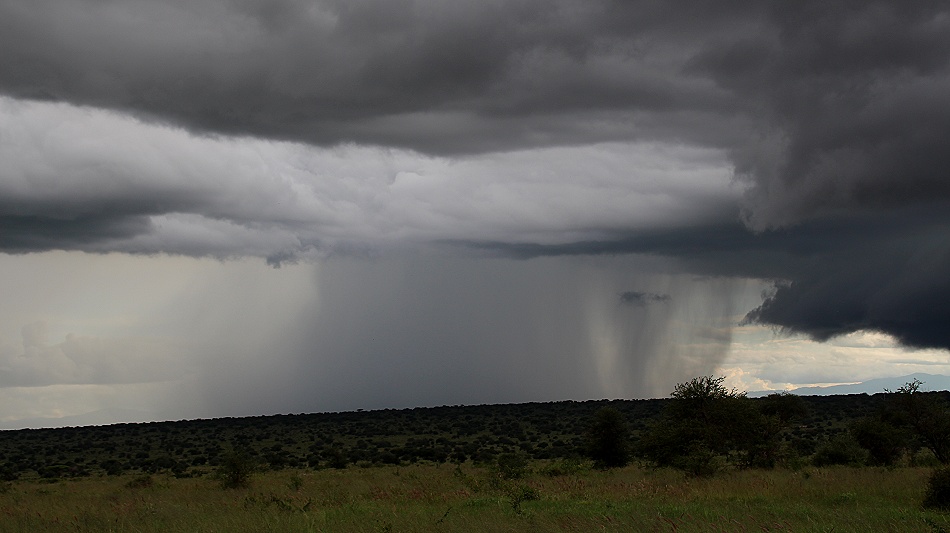 Regenzeit im Lumo Conservancy