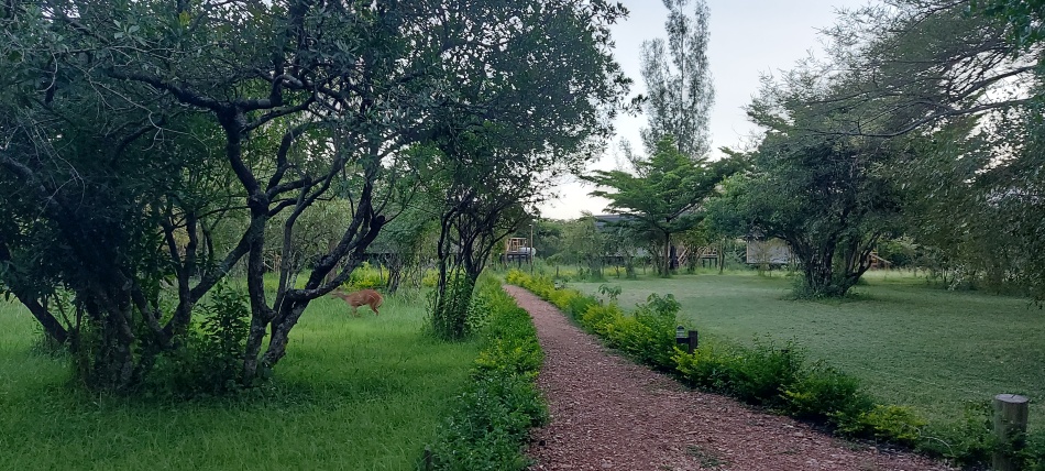 Aruba Mara Camp
