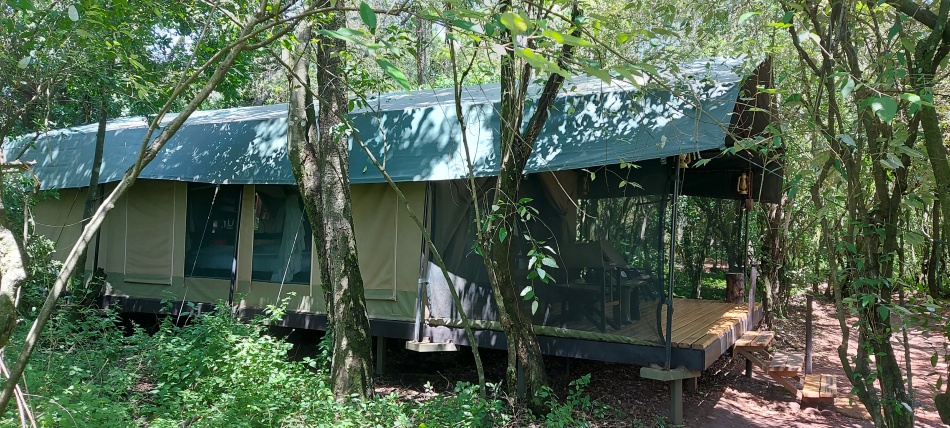 Soroi Mara Bush Camp - Ol Kiombo - Masai Mara