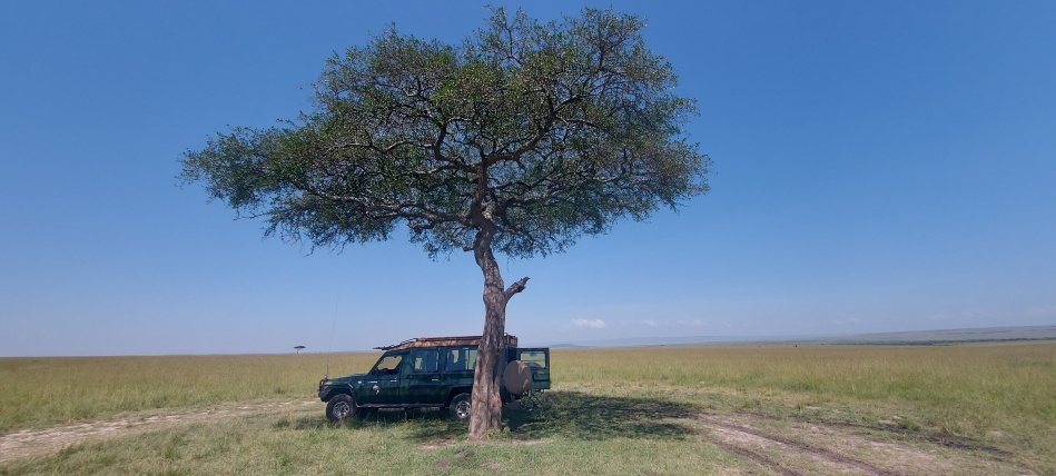 Fr&uuml;hst&uuml;ck im Bush, Bushbreakfast in der Masai Mara