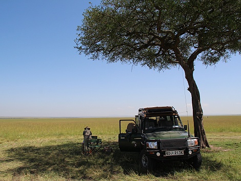 Fr&uuml;hst&uuml;ck im Bush, Bushbreakfast in der Masai Mara