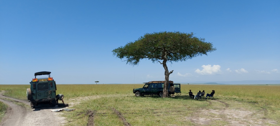 Fr&uuml;hst&uuml;ck im Bush, Bushbreakfast in der Masai Mara