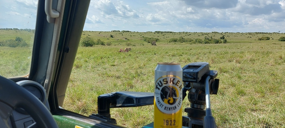 kaltes Tusker Bier im Bush