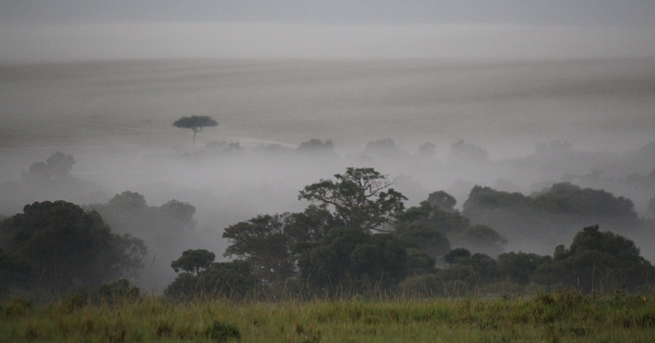 Nebel &uuml;ber der Masai Mara