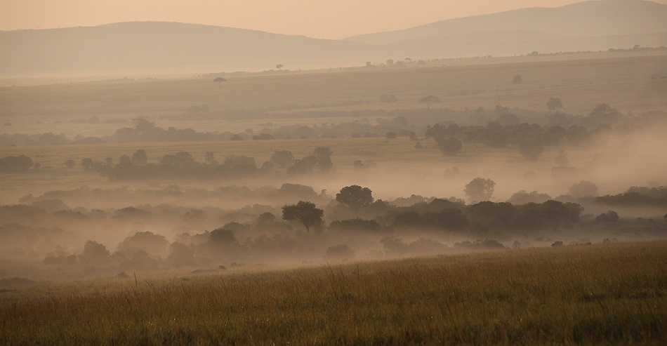 Nebel &uuml;ber der Masai Mara