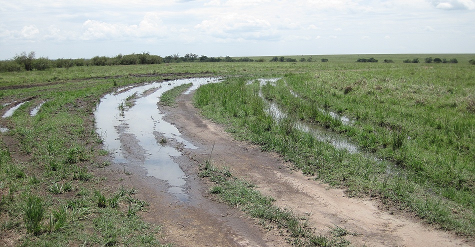 matschige Pisten in der Masai Mara