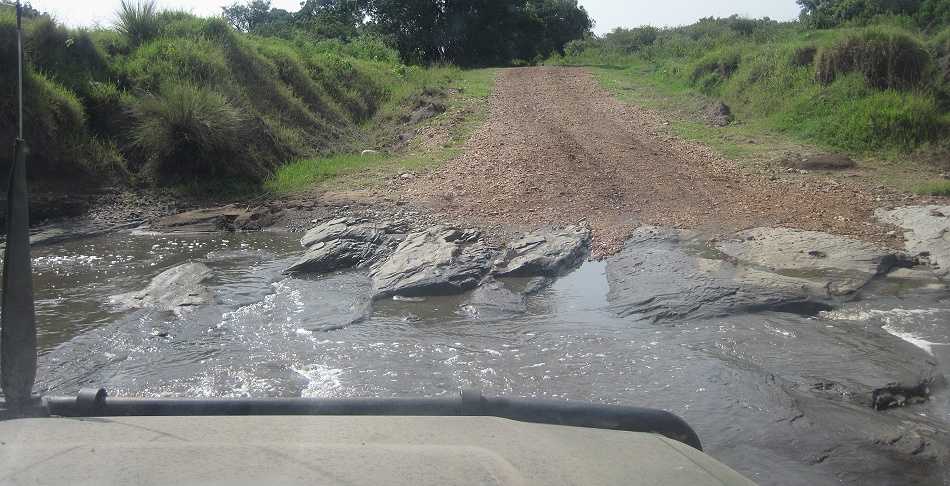 Masai mara, Smelling Crossing