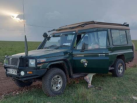 Sundowner in der Masai Mara
