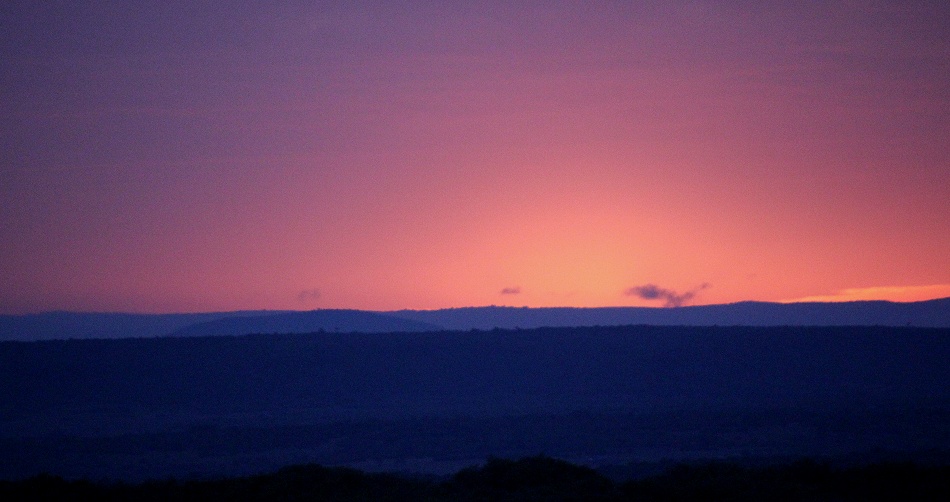 Morgenrot in der Masai Mara