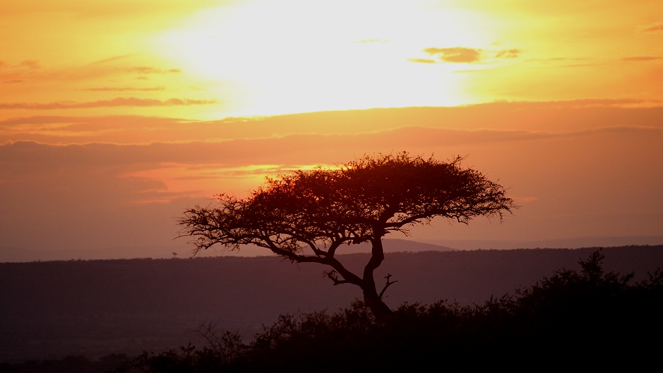 Sonnenaufgang in der Masai Mara