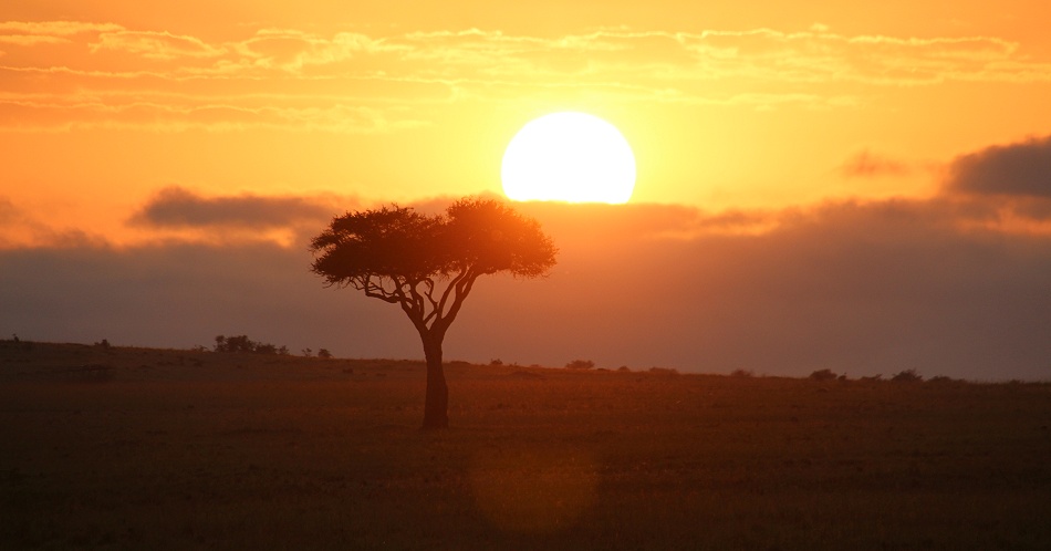 Sonnenaufgang in der Masai Mara