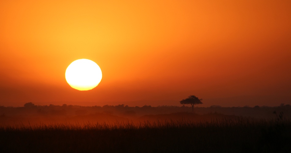 Sonnenaufgang in der Masai Mara