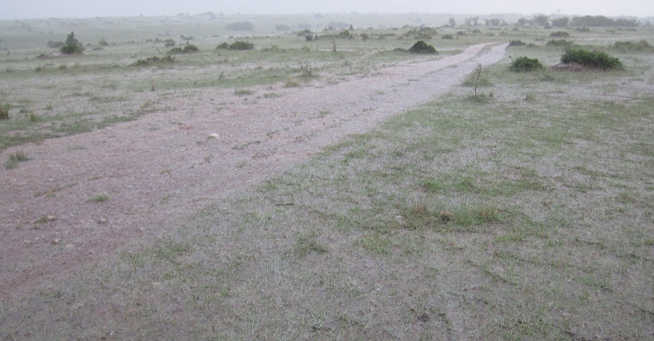 Unwetter in der Masai Mara