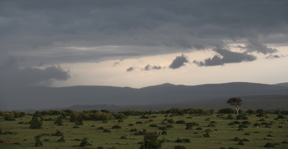 dunkle Wolken &uuml;ber der Masai Mara