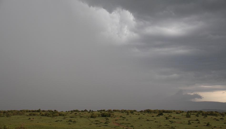dunkle Wolken &uuml;ber der Masai Mara